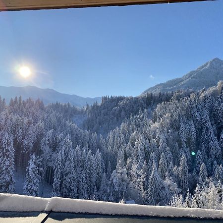 Wohnung Staufenblick Und Wohnung Firstblick Dornbirn Eksteriør billede
