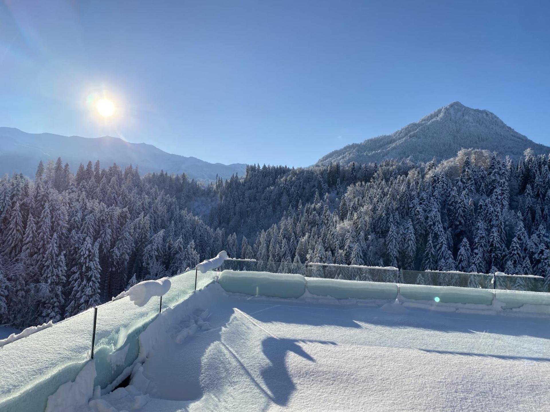 Wohnung Staufenblick Und Wohnung Firstblick Dornbirn Eksteriør billede
